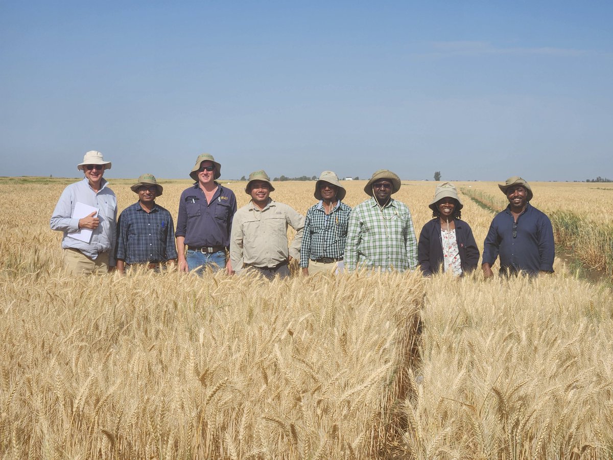 w_tadesse's tweet photo. CAIGE (CIMMYT - Australia- ICARDA Germplasm evaluation) tour in Morocco from 17 to 22 April 2023. @ICARDA @AlisonRBentley @caigeproject https://t.co/V6lztHPV1I