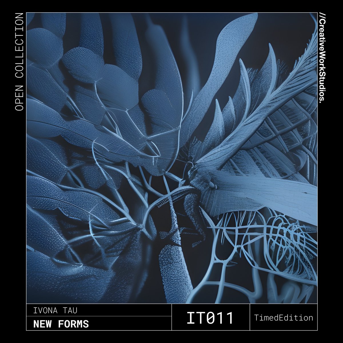 CWSVision's tweet photo. :: OpenCollection. Edition IT011
New Forms by Ivona Tau | @ivonatau
NOW LIVE | 0.075 ETH 🔥
🍃 Mint Link Below ⬇️
#openCollection #editions #digitalart https://t.co/muokLBkFUd