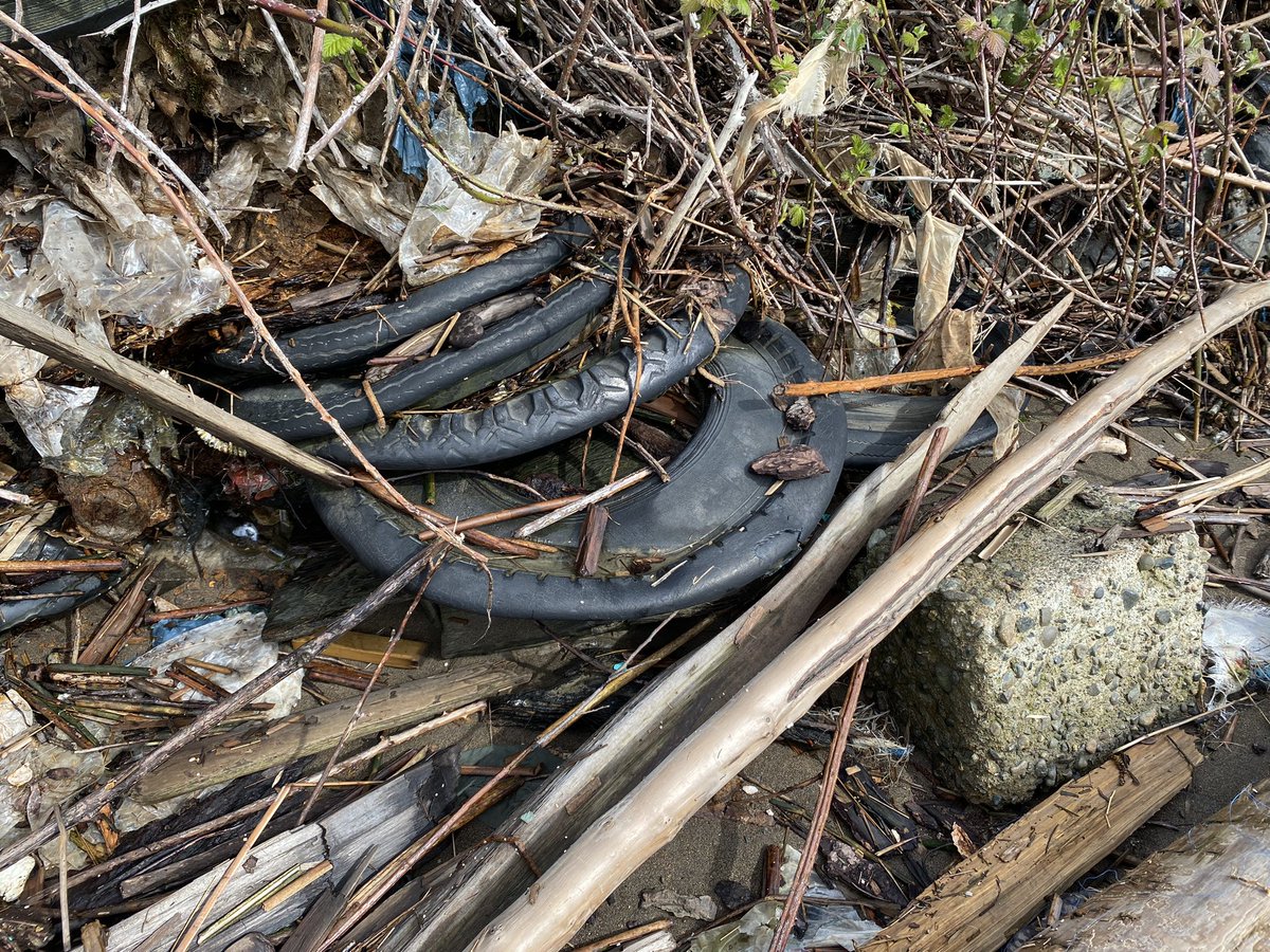 FraserRiverFind's tweet photo. Tire pollution 4/4
Thanks to inaction on behalf of the City of Richmond, an already endangered lower Fraser can continue to freely poison the world’s oceans.
#fraserriverjunkyard #8ballbeach #fraserriver #richmondbc #tires #recycle #cleanwater #lowtide #intertidalzone #disaster https://t.co/e6nYPwkRQx