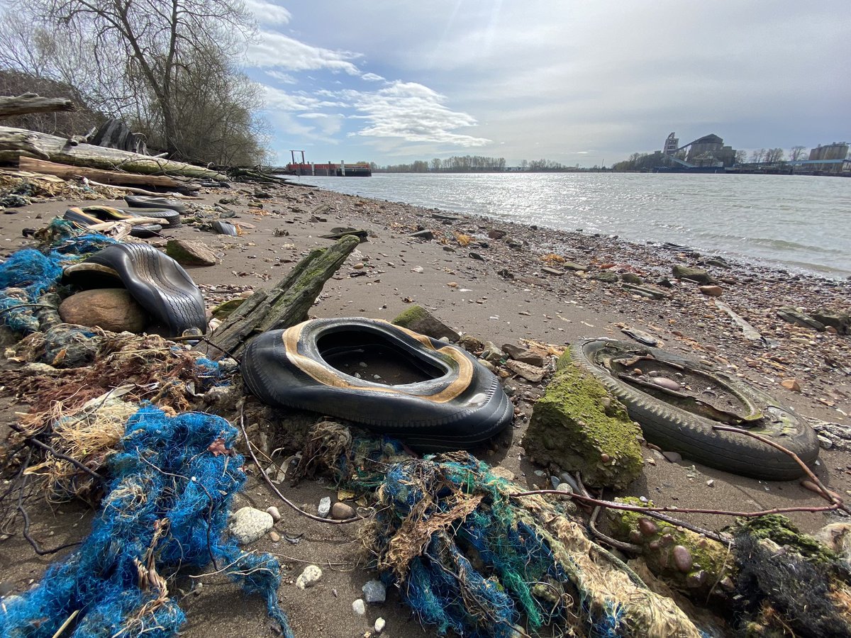 FraserRiverFind's tweet photo. Tire pollution 4/4
Thanks to inaction on behalf of the City of Richmond, an already endangered lower Fraser can continue to freely poison the world’s oceans.
#fraserriverjunkyard #8ballbeach #fraserriver #richmondbc #tires #recycle #cleanwater #lowtide #intertidalzone #disaster https://t.co/e6nYPwkRQx