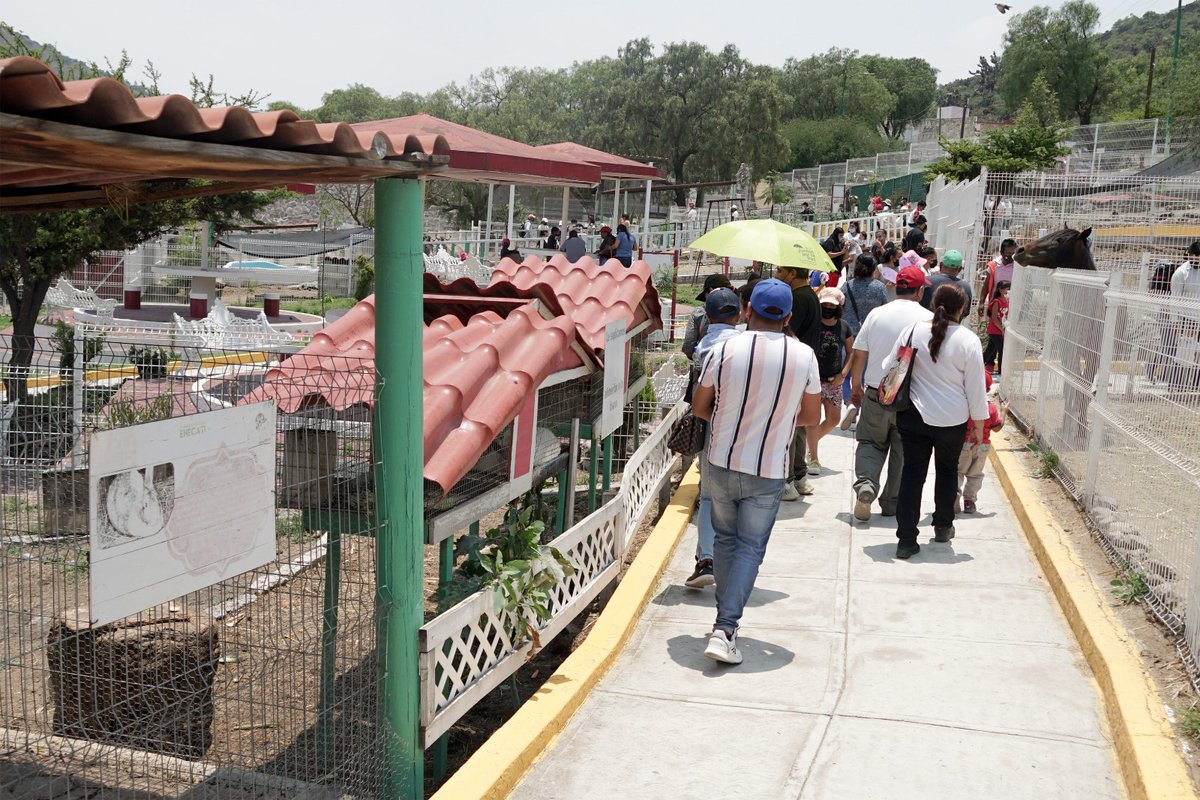 Fernando Vilchis tweet media