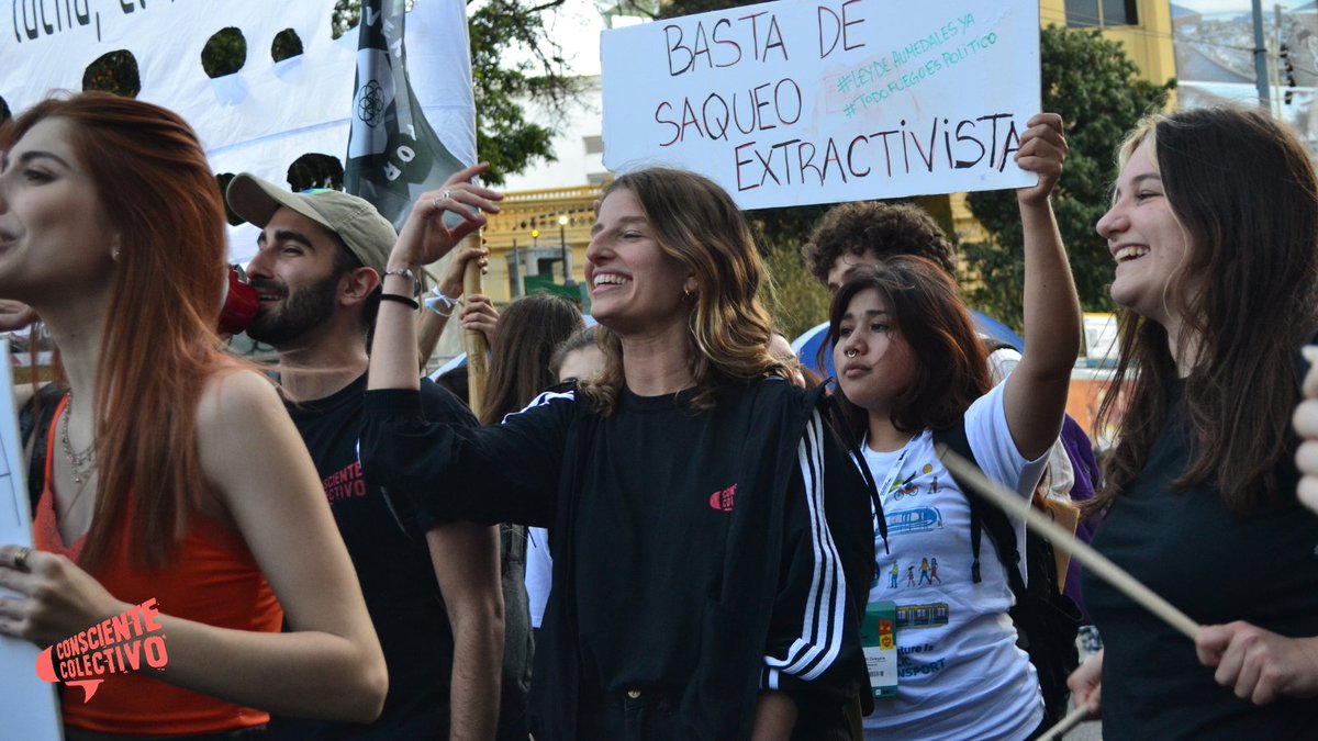 Consciente Colectivo tweet media