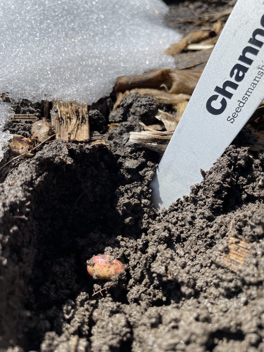 Todd Vagts tweet media