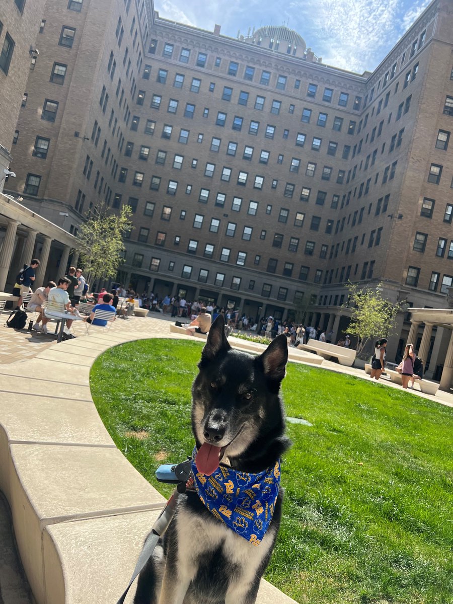 PittBHAS's tweet image. Our furry friends from Animal Friends dropped by last Friday to help all of us here at @PittBHAS thank our student employees for all that they do! 🐾

#h2p #pitt