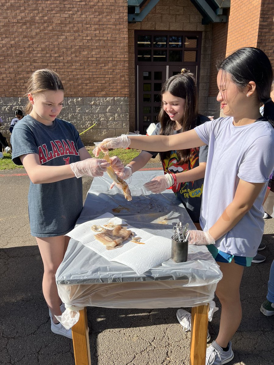 7th grade science students were able to participate in a squid dissection today!  <a href="/CobbSchools/">Cobb County Schools</a>