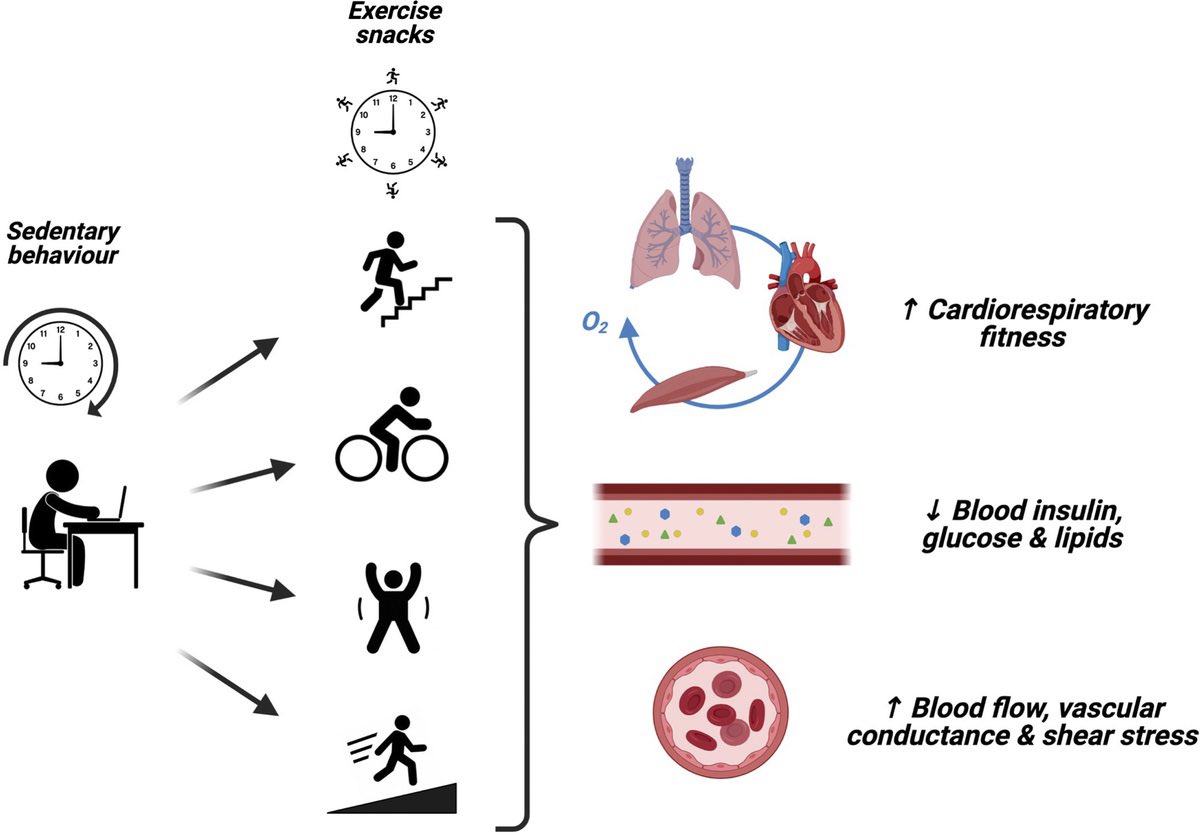 ChristophBurch's tweet photo. Exercise snacks — brief isolated bouts of vigorous exercise performed over the course of the day to improve cardiometabolic health...
https://t.co/lFMkmKxBSK https://t.co/DRjli0WHcQ