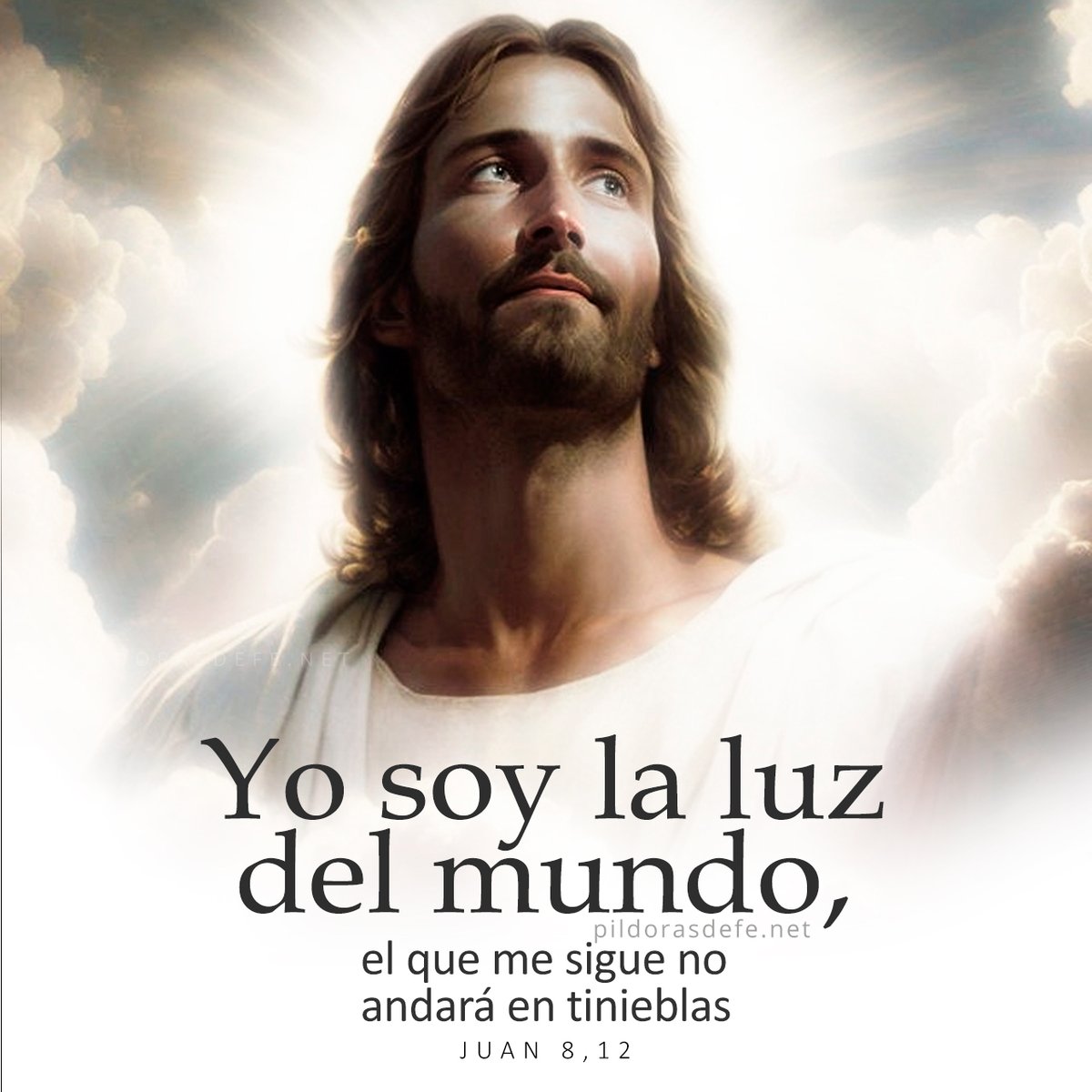 Pildorasdefe's tweet photo. Señor mío y Dios mío... Gracias por todo, gracias por ser nuestra Luz en medio de este mundo en crisis... Gracias, Señor, gracias. Nunca apartes tu rostro de nosotros. Lo rogamos por tu Santo Nombre. Amén.