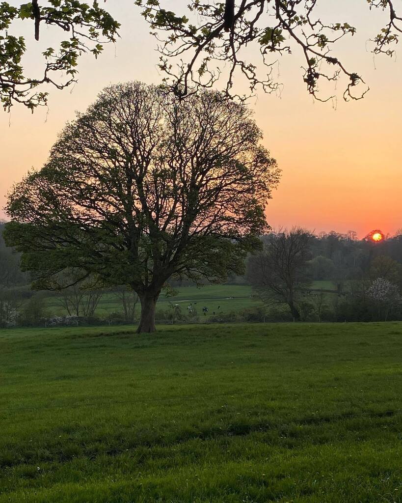 noreviewhouse's tweet photo. Some sunsets never need a filter ❤️

#sunset #beauty #explore #instagood #visitkilkenny #fishing #comestaywithus #giftvoucher #spring2023 #summer2023 #sunnysoutheast #elite #adventure #irelandsancienteast #selfcatering #staycation #norevalleywalk #relax … https://t.co/aDVJNnPOiS https://t.co/Y3ciOc7ImF