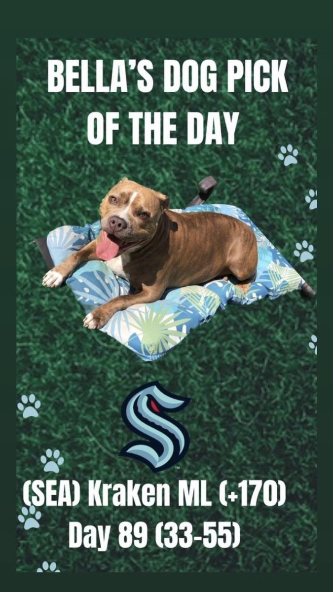 TheLocksOTD's tweet photo. 🐶BELLA'S DOG LOCK OTD🐶
‼️Overall Units +1085‼️
🔥BELLA IS HOT🔥
🏒(SEA) Kraken ML (+170)
#NHL #NHLPlayoffs #nhlbets #nhlpicks #seattle #kraken #hockey #playoffs #sportsbetting #bets #gamblingtwitter #gambling #bella #dog #dogs #dogpick https://t.co/yrcDkrGwSX