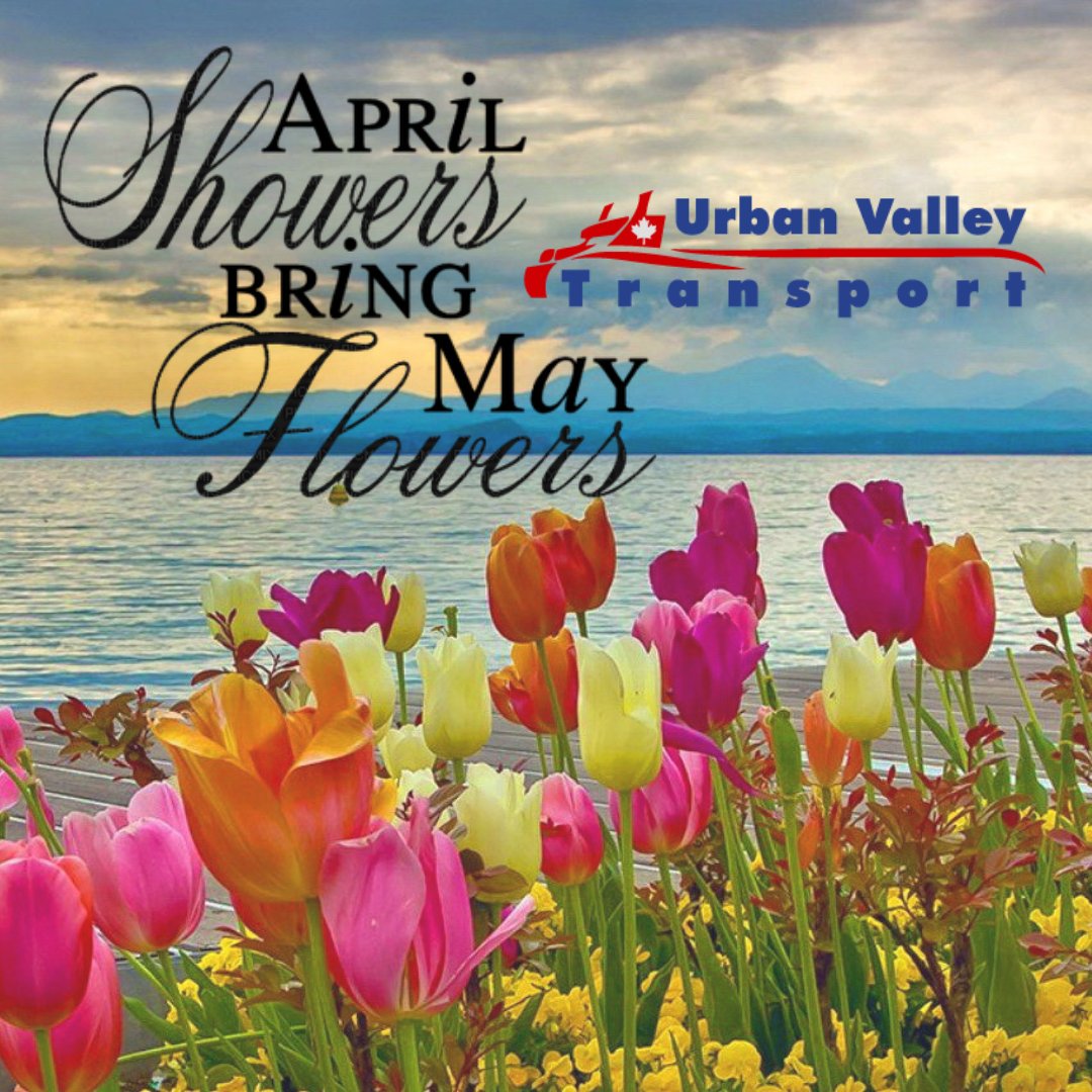UrbanValleyTran's tweet photo. April Showers Bring May Flowers @UrbanValleyTran can carry your load to from nursery and greenhouse to landscape and retail site destinations. 🌳✿🌷 
https://t.co/EQIYDZHPbE #BCGreenhouse #BusinessBC #SameDayDelivery #FinalMile #BCLandscaping #MissionBC https://t.co/MSiGywSKAI