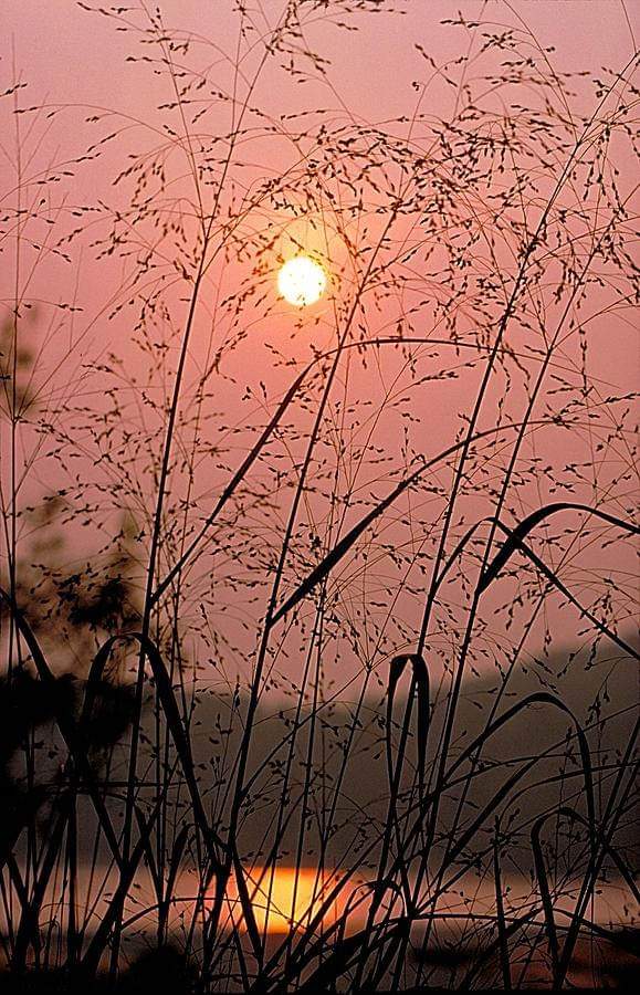 GholamKaren's tweet image. 