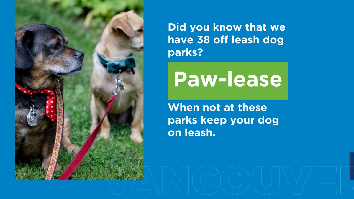 CityofVancouver's tweet photo. Did you know we have 39 off-leash dog parks? Some have areas for large & small dogs.🐶
When not at these parks paw-lease keep your dog on leash – it keeps them safe & reduces situations that may cause them or others harm.👍 ➡️https://t.co/OOa87I4bsw
#YVRDogs #ResponsibleDogOwner https://t.co/Qn1PqfsSD6