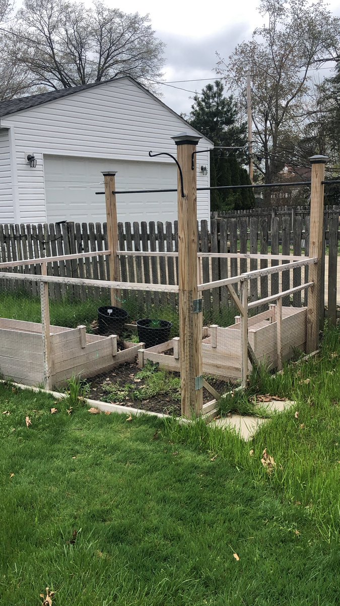 MattNoBasement's tweet photo. @michaelharriot This worked for the Mrs.  8 ft 4 x 4 posts with solar lights on top.  A little chicken wire.  No problem with the critters. 😎 https://t.co/nDCOmu3YZ5