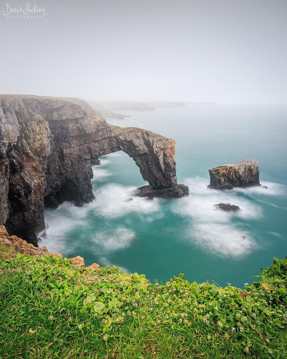 drewbphoto's tweet photo. Lots of sea mist along the coast for Sunday's wander, here's the Green Bridge of Wales - good to see the seabirds are back nesting and the plants are springing into life 

#pembrokeshire #wales #sea #coast #canon https://t.co/Svx8nZOq5t