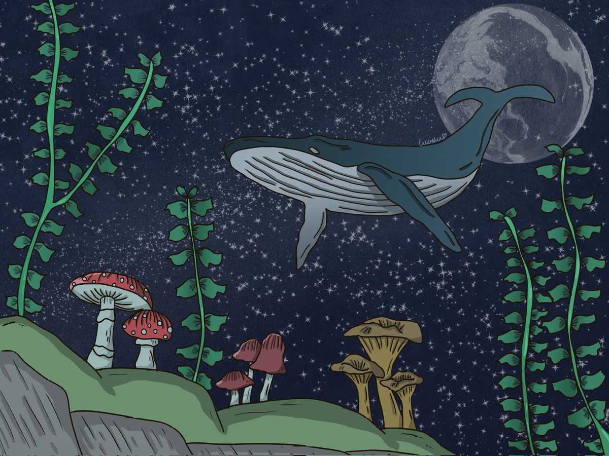 _LucieLu's tweet photo. Space whale :) https://t.co/xTu9Haz4zZ