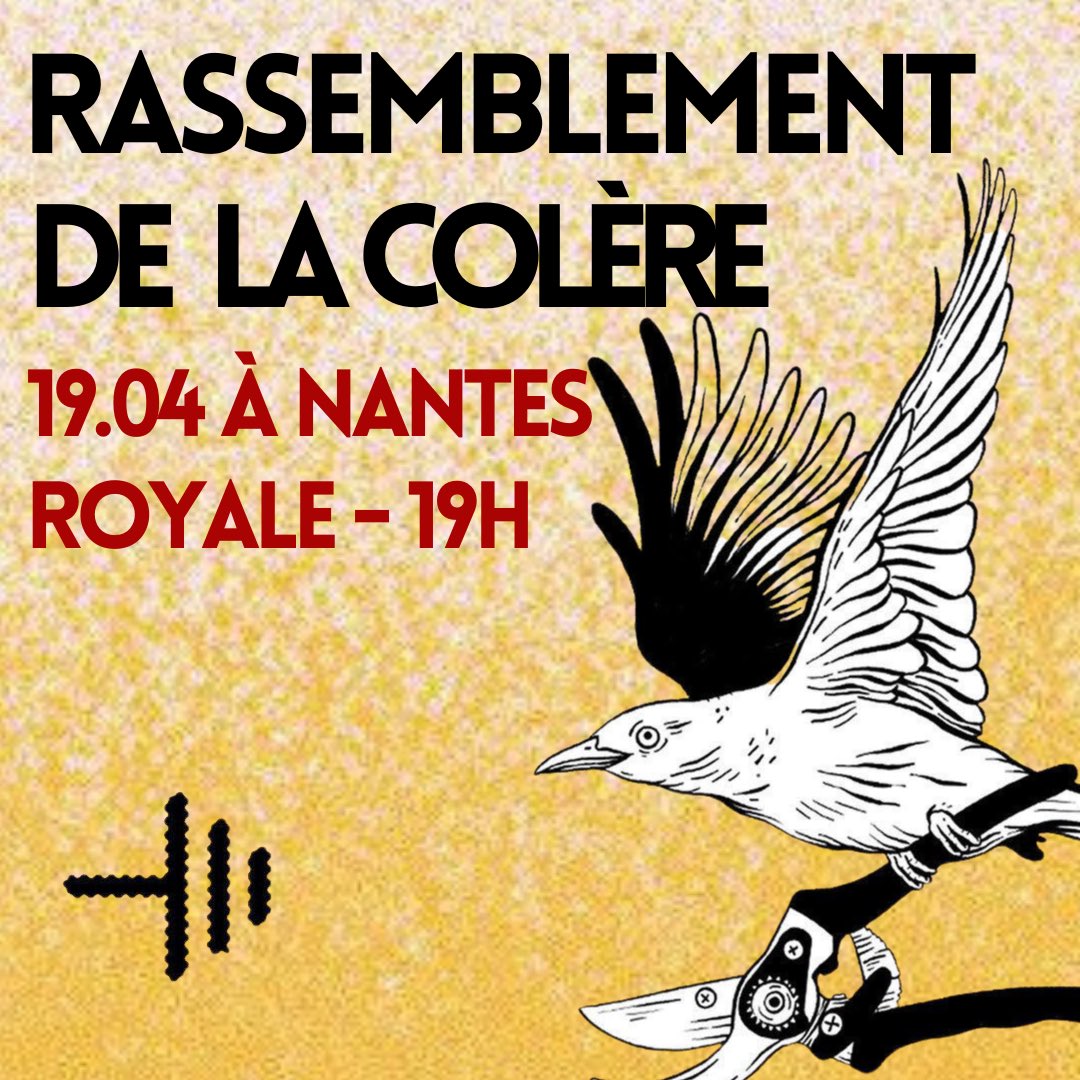 MargotMedkour's tweet photo. Demain RDV à Nantes place royale à 19h #ContreDissolution avec le comité nantais des @lessoulevements https://t.co/1hPxhNcaOa