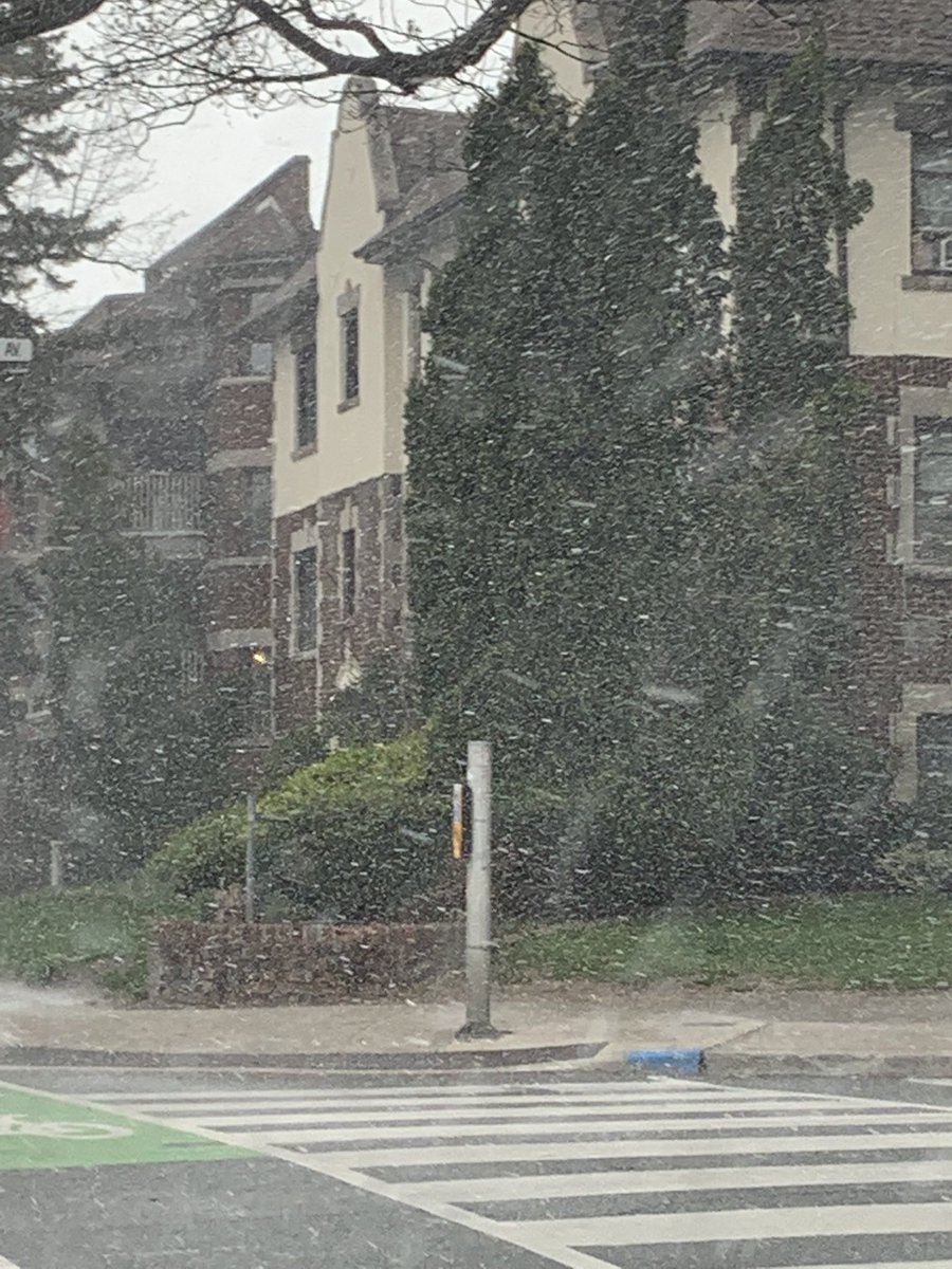 ange_kh9's tweet photo. Wow, what the funk that's hail folks❗On the heels of 5 straight days of record-breaking heat, we’re having an actual hail storm in #HighPark #BloorWestVillage atm?! 🙄
#tostorm #toweather #mysix https://t.co/NX98TBX69x