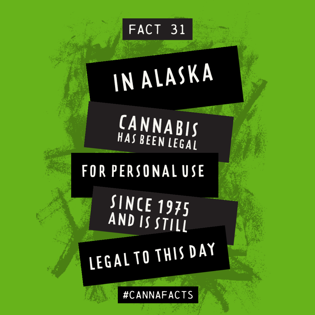 BlackInstGroup's tweet photo. Did you know? #cannabis #facts https://t.co/v5sPhl4E7L