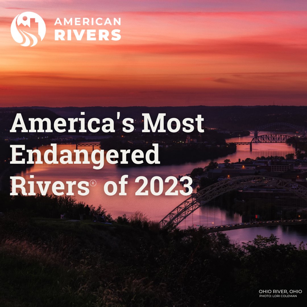 BettyMcCollum04's tweet photo. The 2023 #MostEndangeredRivers report is out, and it shows how healthy rivers are essential for safe & healthy communities—underscoring the need for solutions like #MRRRI, a coordinated federal initiative to restore & protect the Mississippi River. https://t.co/UX7dswMLxV https://t.co/zjzR6tK0sv