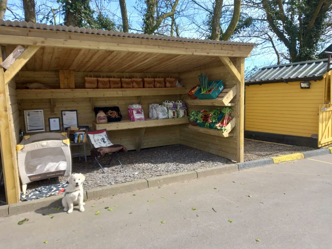 Ballymakenny Farm® tweet media