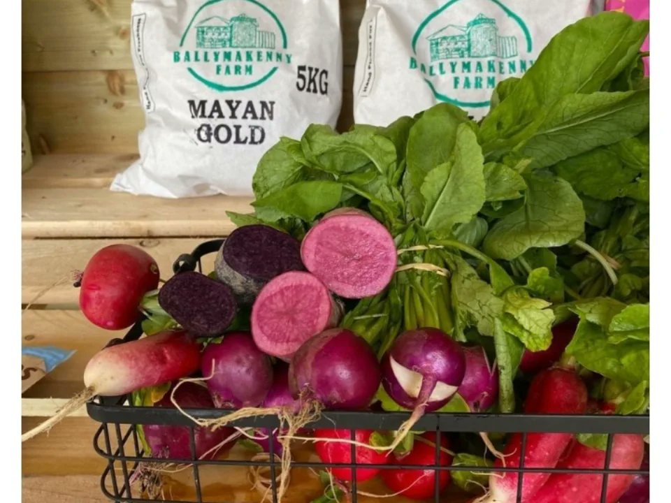 Ballymakenny Farm® tweet media