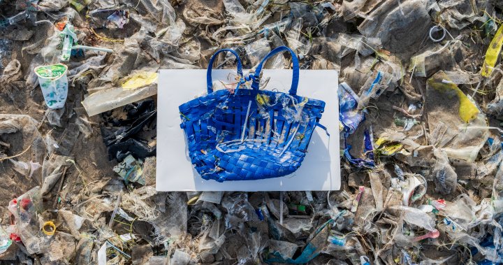 Great Pacific Garbage Patch now home to thriving ecosystem, Dave Warner says dlvr.it/SmhmkH