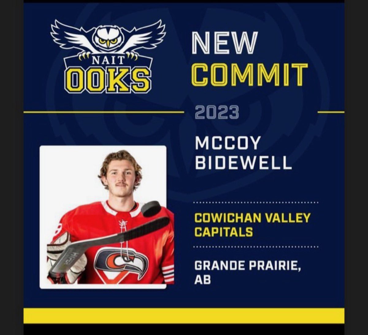 Congrats to #KIJHL alum & former @kijhlghostrider McCoy Bidewell on joining the @naitooks mens hockey program.