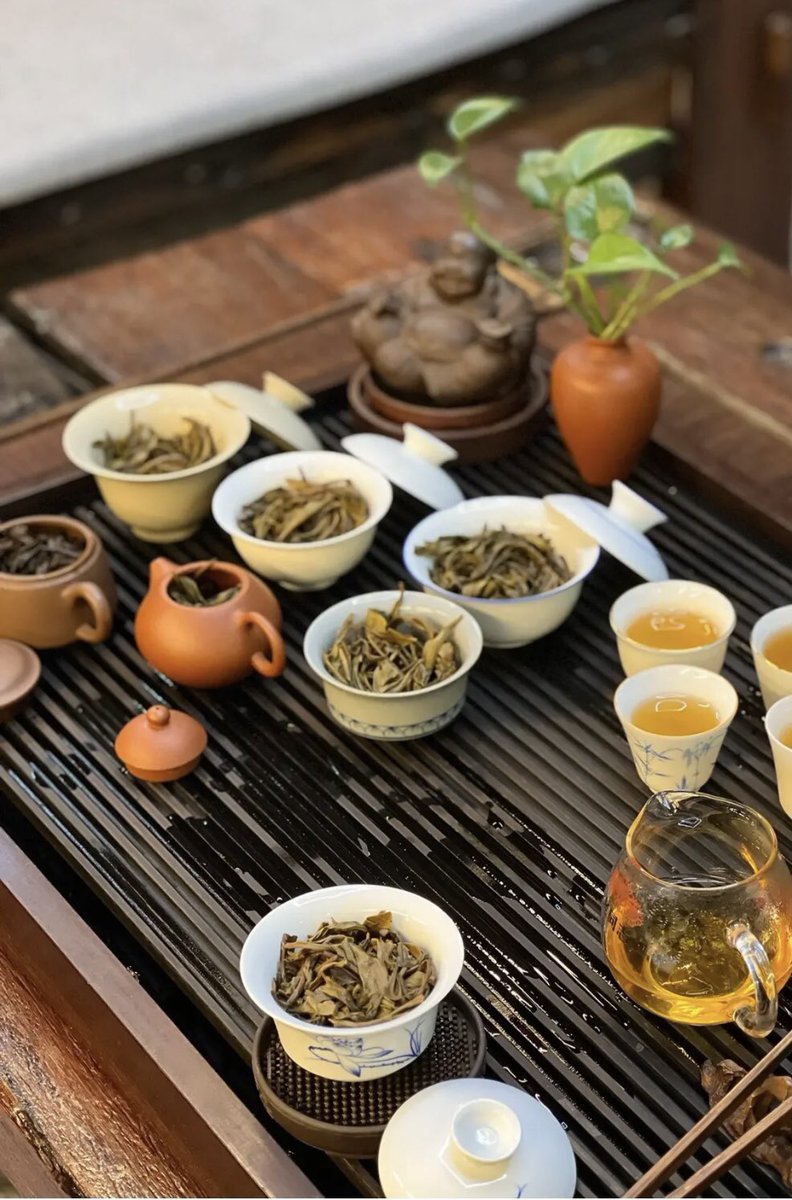 youya520's tweet photo. 这茶叶喝的，失眠了🥹🥹🥹 https://t.co/blhhNUNFj6