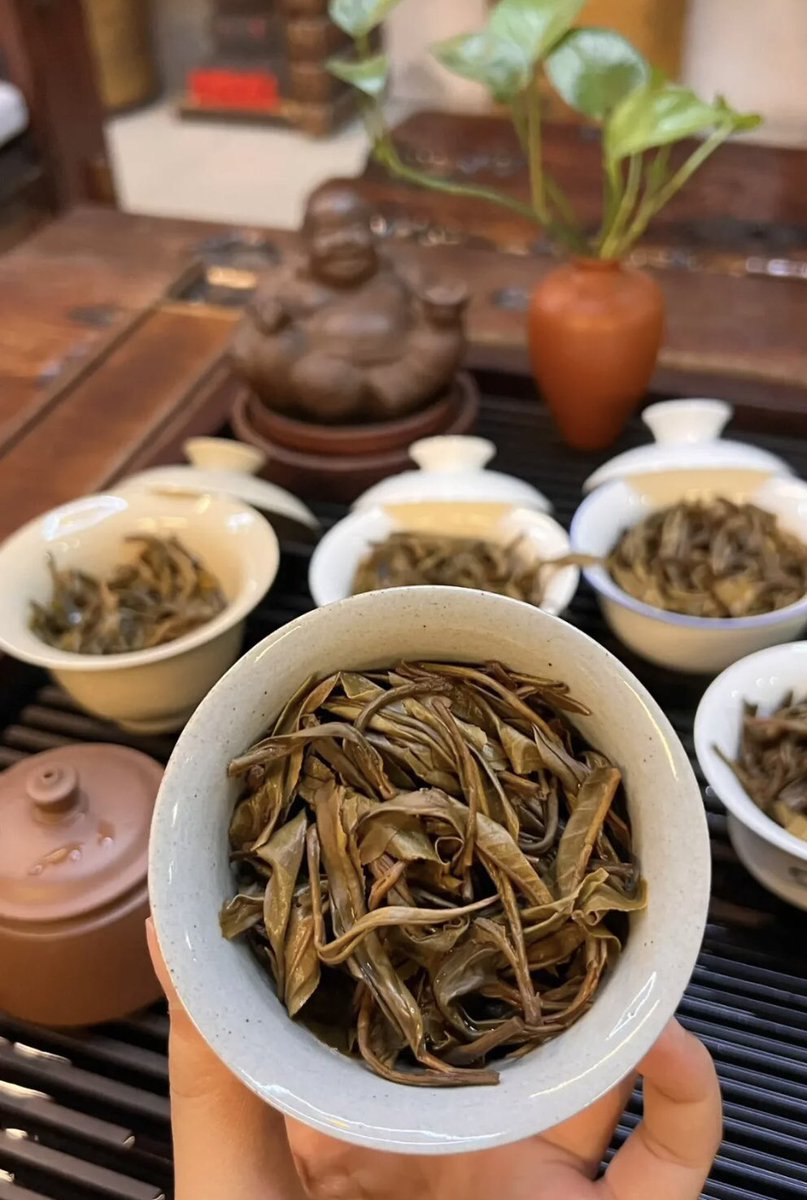 youya520's tweet photo. 这茶叶喝的，失眠了🥹🥹🥹 https://t.co/blhhNUNFj6