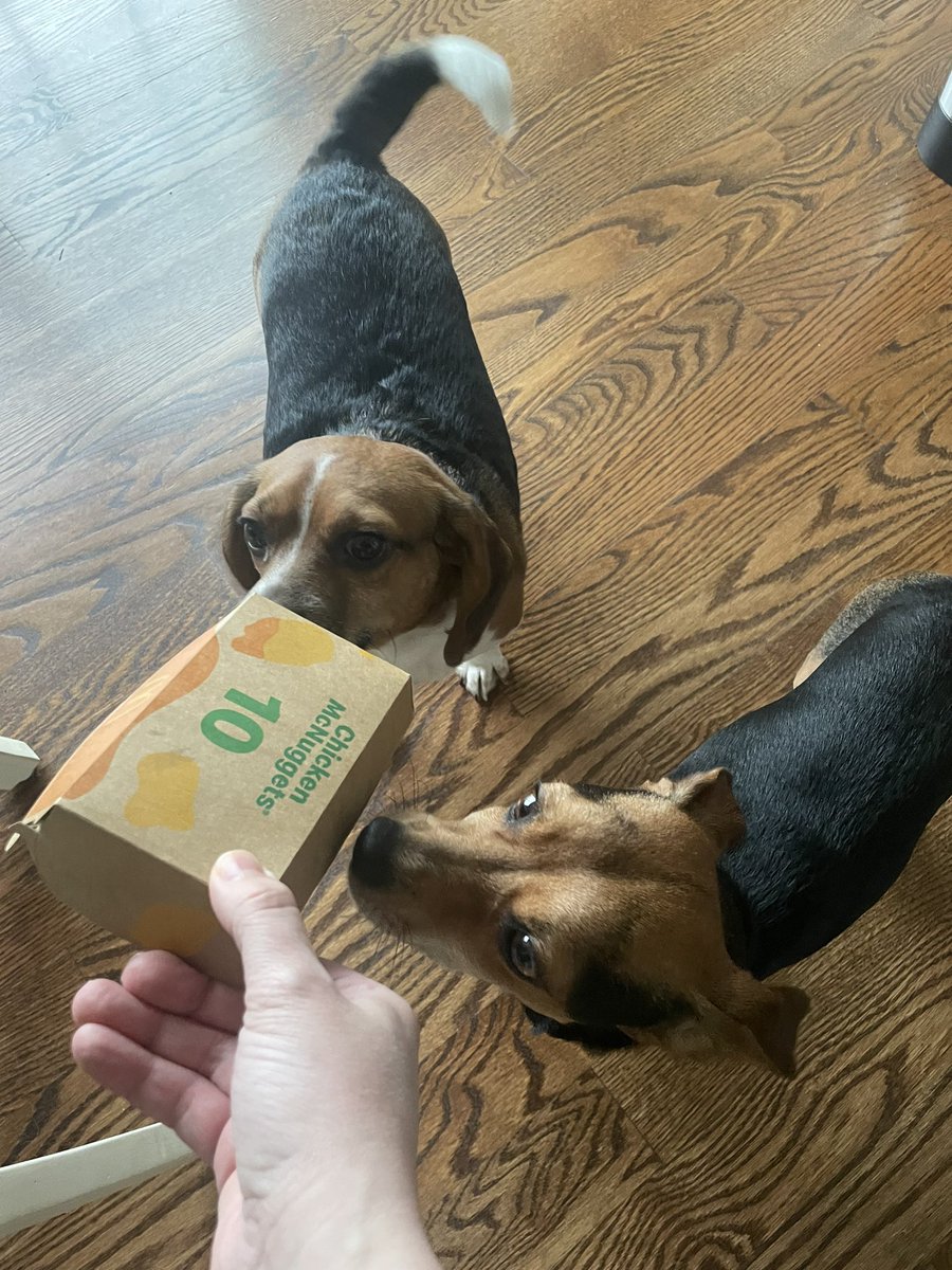 Have I ever told you how much I love #Food.   <a href="/McDonalds/">McDonald's</a> I love nuggets! #DogsofTwittter #beagle #trappertweets