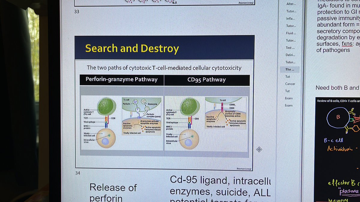 bootsy ࣪𖤐‧ tweet media