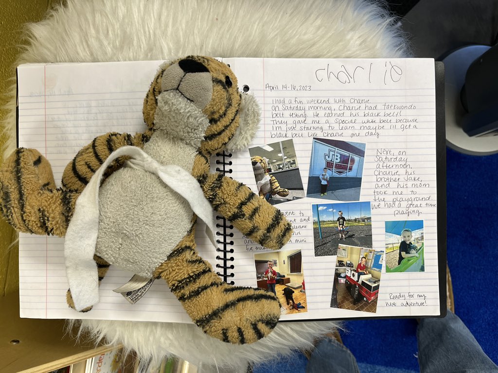 melliottsclass's tweet photo. Mr. Stripes has been on quite the adventures this year! We can’t believe he only has 26 days left with us! https://t.co/WSDAZca3e5