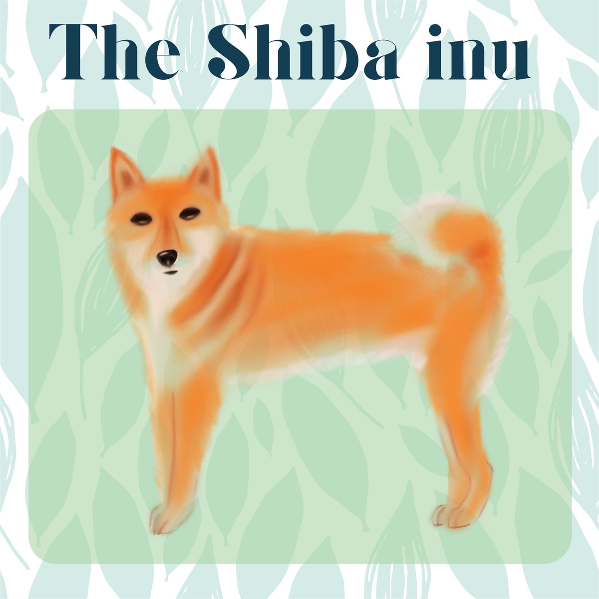 caledoniarf3's tweet photo. The Shiba Inu. Other version

#design #graphicdesign #abstractdesign #creativity #abstractillustration #picoftheday #creative  #digitaldesign #myartwork #artsharing #artchallenge #ArtistOnTwitter #SHIBA #shibainu #dogs #dogsarelove https://t.co/sHz4AnR49r