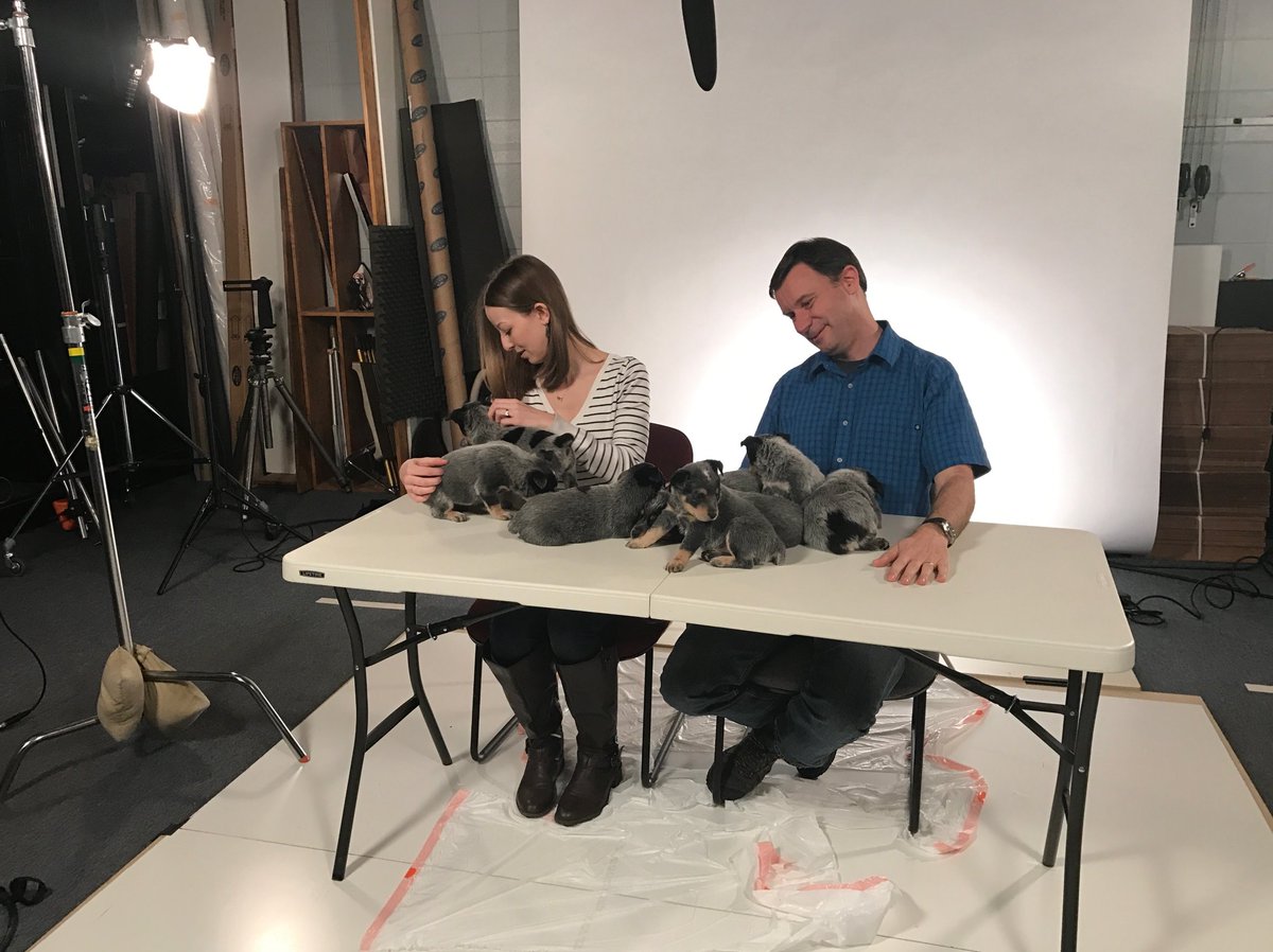 This was one of the funnest jobs I've ever had 🐶 🐱 🐍 🦁

And one of the best teams you'll ever meet.

Don't sleep on this one ⬇️
jobs.colostate.edu/postings/124808

#HESM <a href="/CSUVetMedBioSci/">CSUVetMed&BioScience</a>