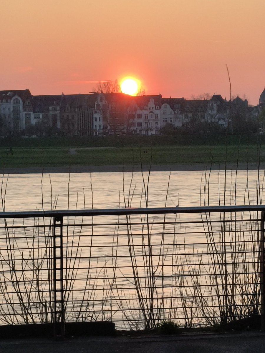 adam_phillips4's tweet image. Took the students to old town dusseldorf, fantastic views and  a beautiful place and people. 
#Erasmus23