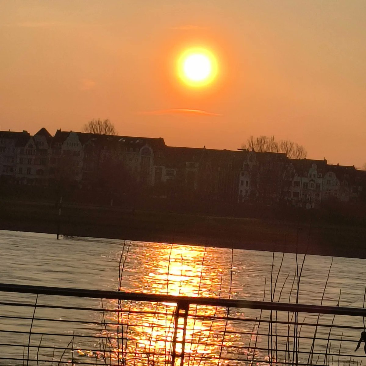 adam_phillips4's tweet image. Took the students to old town dusseldorf, fantastic views and  a beautiful place and people. 
#Erasmus23