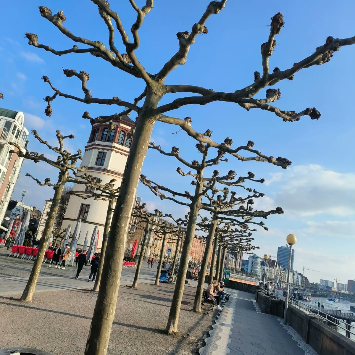 adam_phillips4's tweet image. Took the students to old town dusseldorf, fantastic views and  a beautiful place and people. 
#Erasmus23