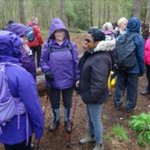 Photo by Castle Bromwich Ramblers (@CBRA91)