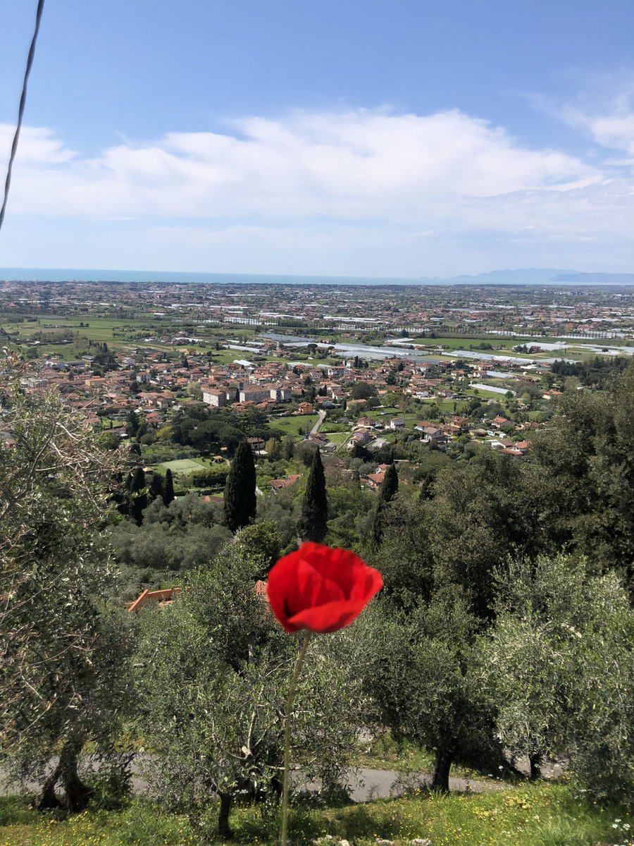 Giulia tweet media