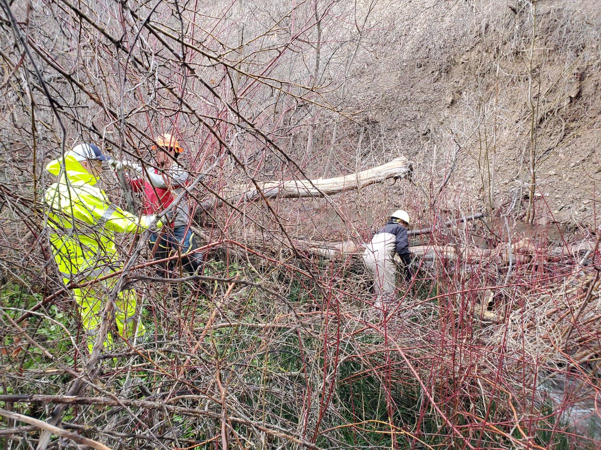 SLCPU's tweet photo. More pictures from crews working hard to clear debris from City Creek. Please watch out for workers.

#citycreek #springrunoff #slc #saltlakecounty #watershed #WasatchFront #publicutilities #floodmitigation #citycreekcanyon #publiclands https://t.co/N3TJrnQk2G