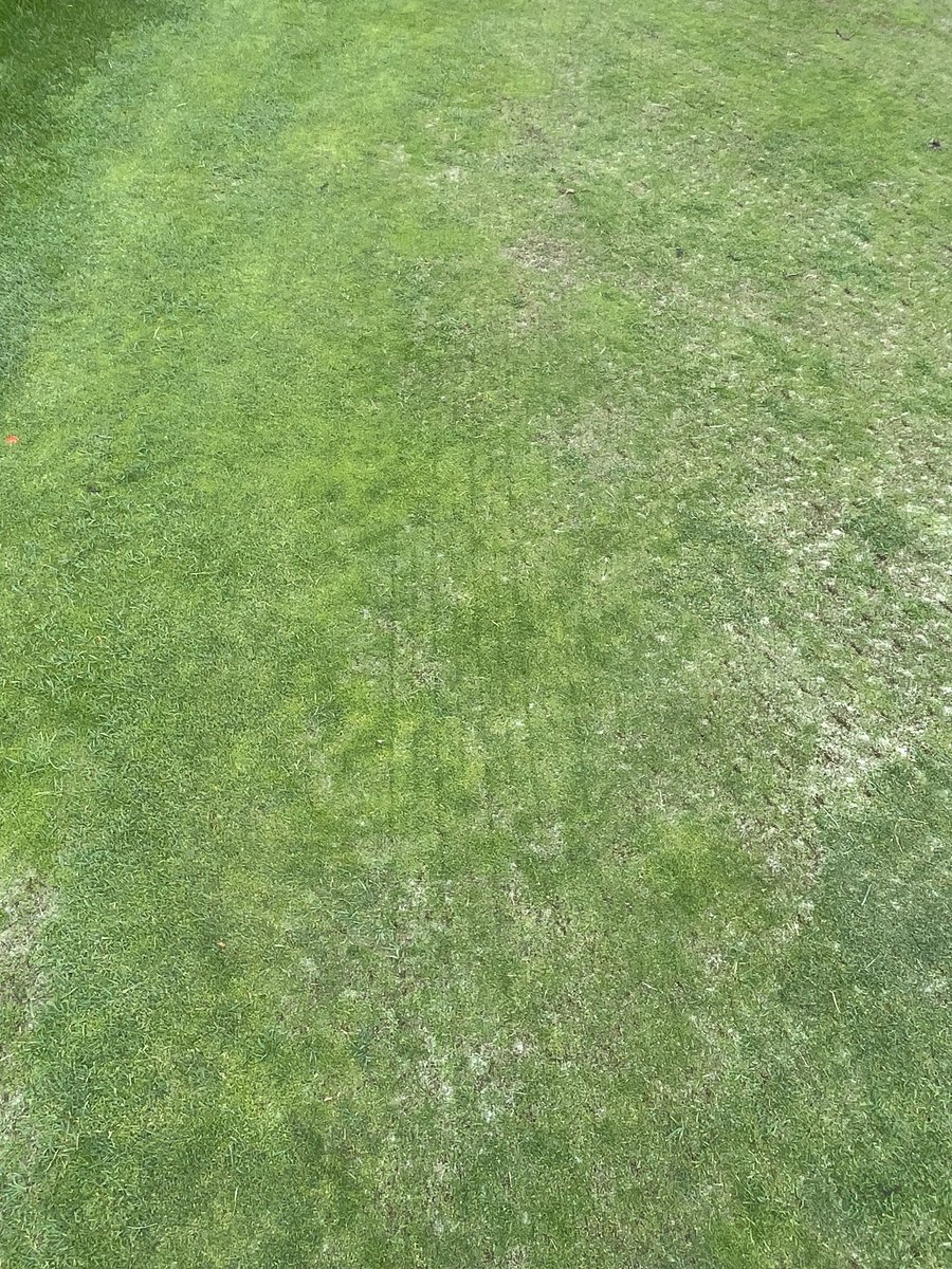 OSU_ATI_Turf's tweet photo. Signs of recovery today in Cleveland from the winter damage - patience still needed but an improvement on 6 weeks ago! #heatplease https://t.co/NQ8pvW2Sbp