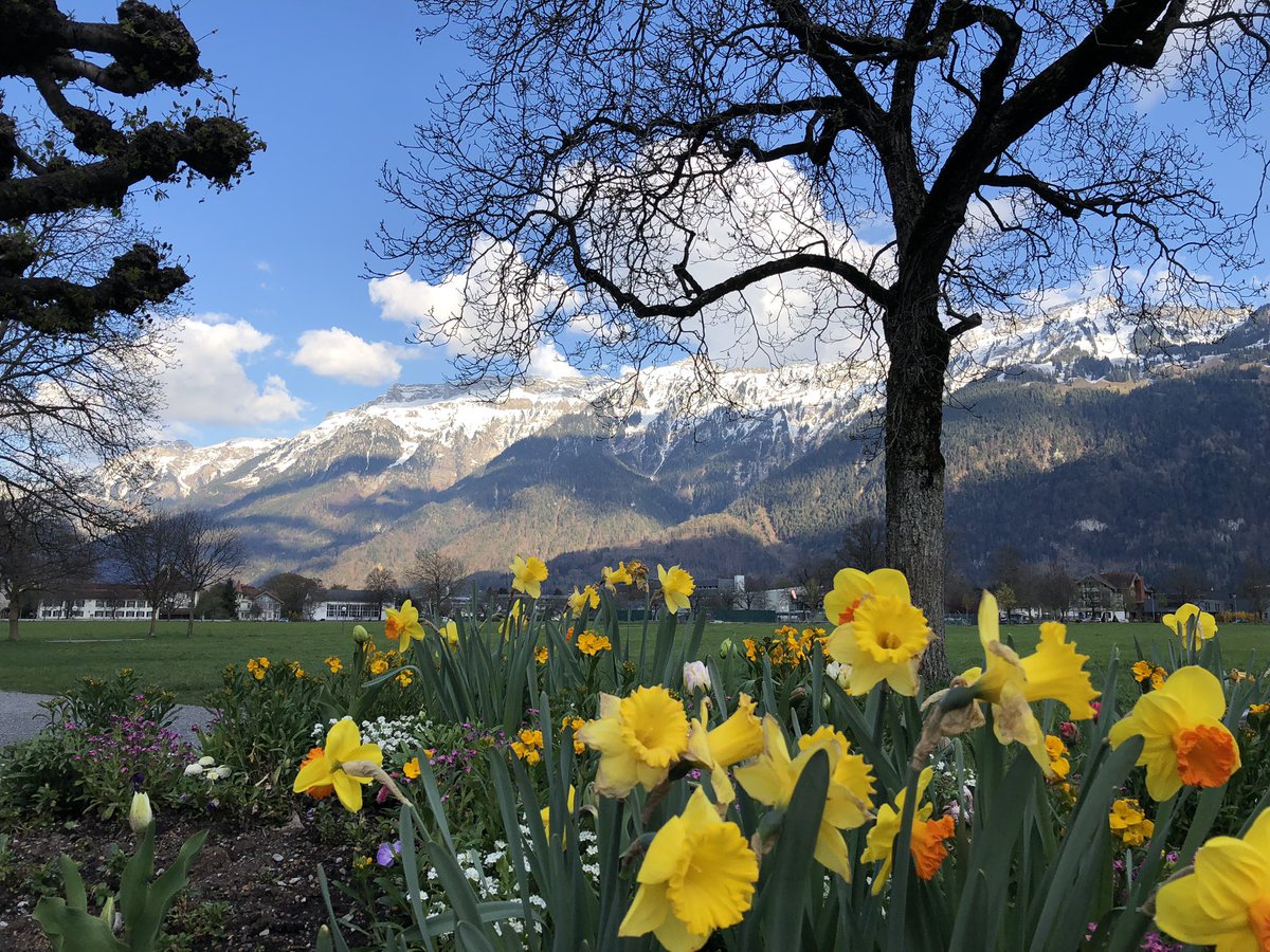 mari_nv_dr's tweet image. Life happens, mountains help.
💕🇨🇭 🏔️🏔️

#SwissLandscape #nature #MountainAir