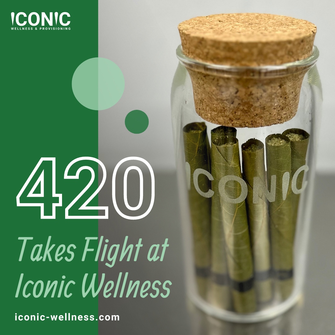 wellness_iconic's tweet photo. Take flight with Iconic Wellness this 420! ✈️  Find out how we're celebrating the holidaze -- bring home your old favorites or discover something new -- link in bio.

#iconic #iconicwellness #michiganmade #green #vibes #goodvibes #flowerpower https://t.co/Pn3utxagbh
