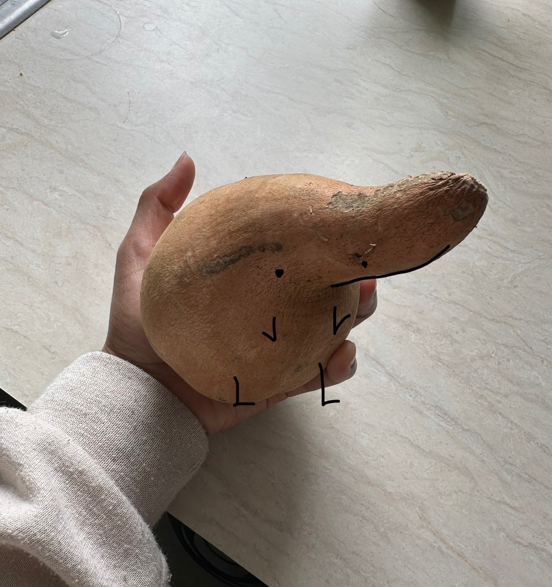 Papifocks's tweet photo. I don’t want to eat this sweet potato because it looks like @berdyaboi https://t.co/65B91heRY6