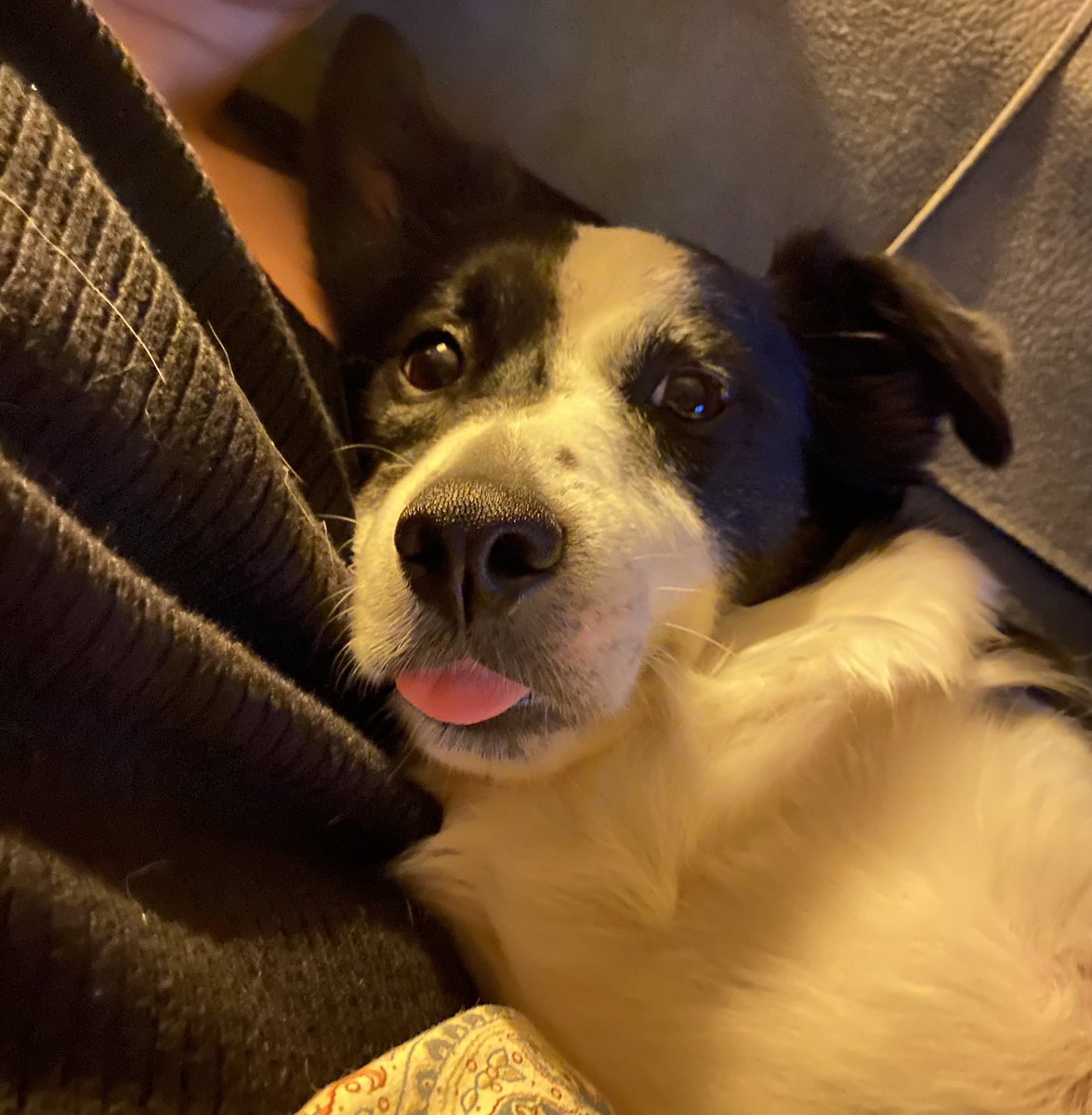 Memleket Partisi’ndeki görevimden gördüğüm lüzum üzerine istifa ediyorum.