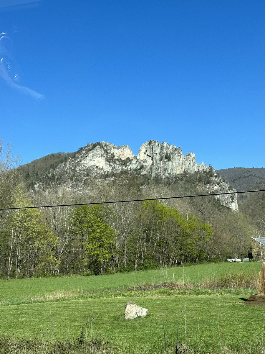 Botanizing in Pendleton County, WV and drove by Seneca Rocks! On the hunt for the newly described Viola teniusecta Zumwalde &amp; H. E. Ballard