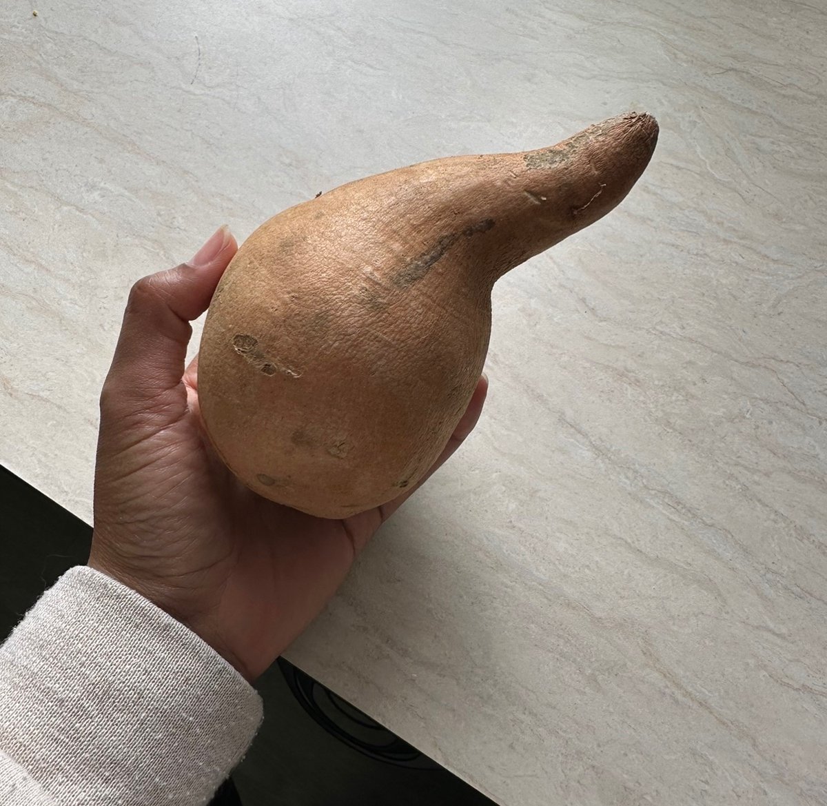 Papifocks's tweet photo. I don’t want to eat this sweet potato because it looks like @berdyaboi https://t.co/65B91heRY6