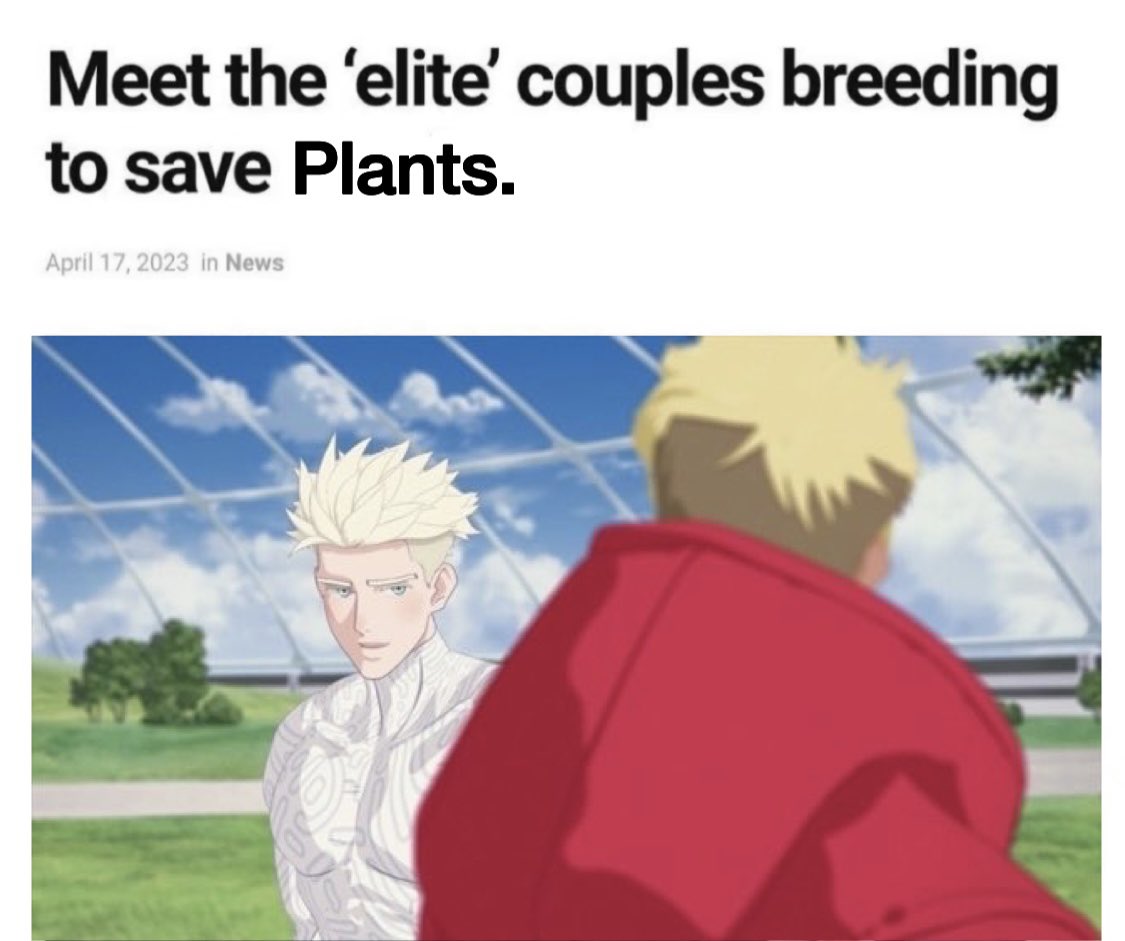 HaloChao_'s tweet photo. #Plantcest #KV #VK #刀台 #台刀 #Knash
Meet the ‘elite’ couples breeding to save Plants. https://t.co/JaTWdnybGR