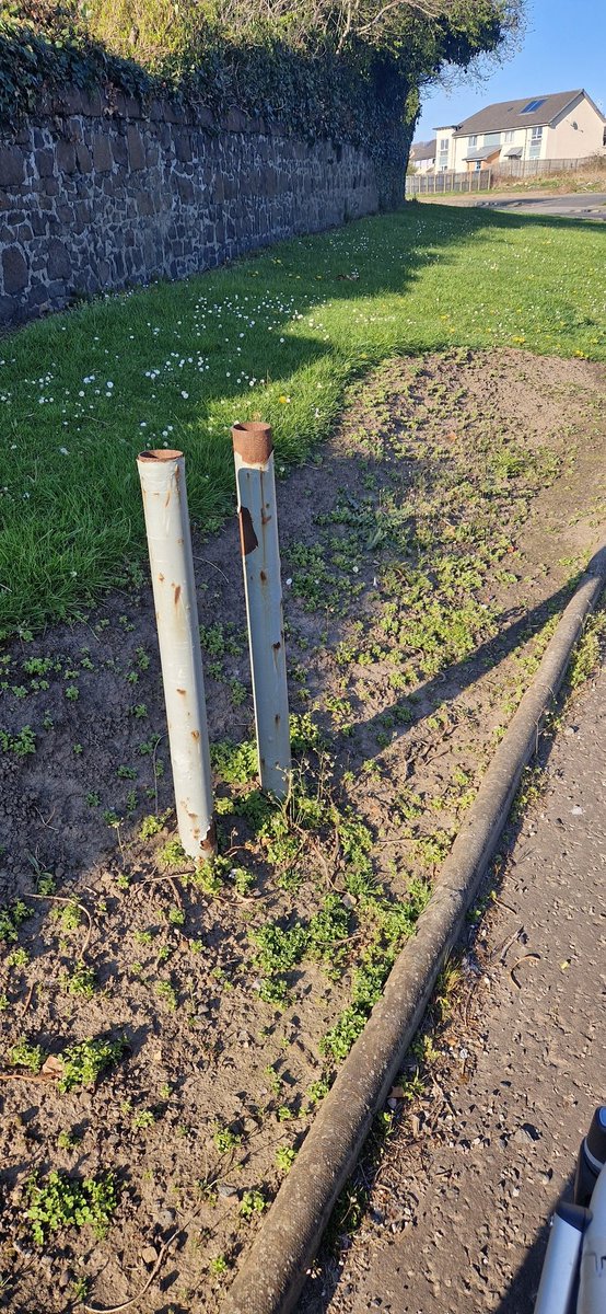 silvbee's tweet photo. This random strip of dirt by the side of a junction doesn't look like much but it's my local chocolate mining bee and beefly colony. Always good to #KnowYourPatch https://t.co/8cAdxgvLsm