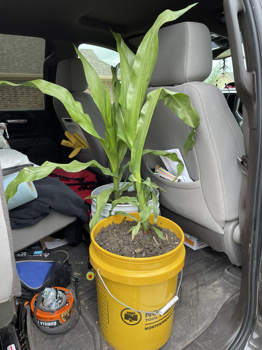 Travis Courtney tweet media